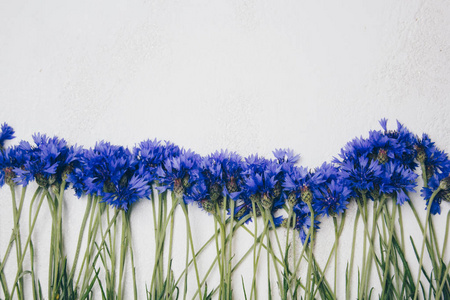 蓝色玉米花花束, 夏季花卉在白色背景, 花卉背景, 美丽的小玉米花关闭平底