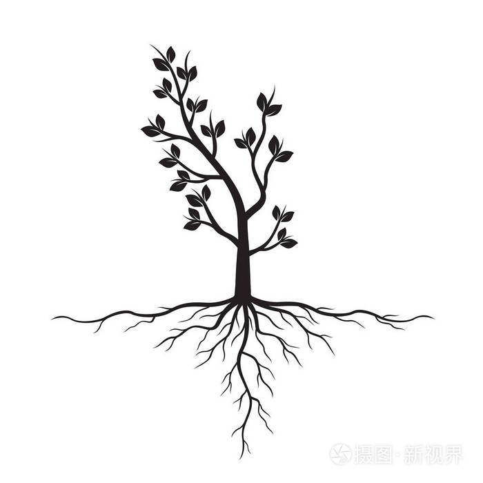 矢量图插画-正版商用图片0tnnyq-摄图新视界