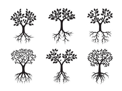 矢量图与根树美丽观雪山与干树根黑白相间暴风雨损坏与暴露的根棵倒下