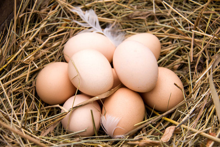 四个鸡蛋躺在干草照片