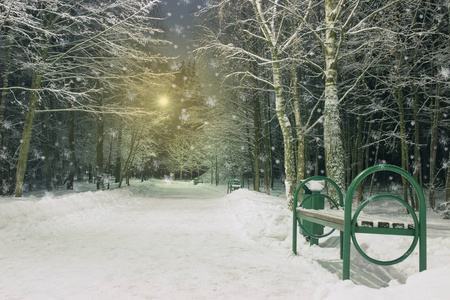 冬季景观与夜霜落叶树图片