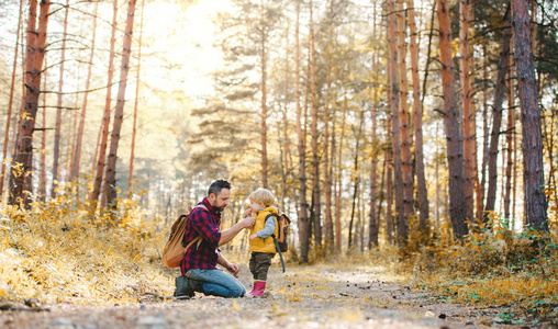 一个成熟的父亲, 背包和幼儿在秋天的森林