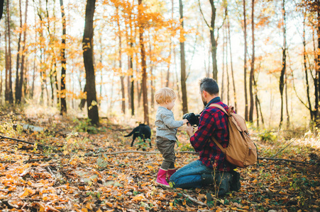 一个成熟的父亲和一个幼儿儿子在秋天的森林里, 用相机拍照