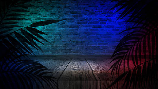 空洞的墙壁, 灯光, 烟雾, 光芒, 光芒, 霓虹灯照片