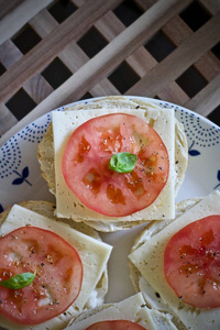 自制的奶酪和西红柿三明治。食品理念