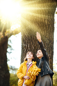 两个女孩在秋城公园。他们站在大树附近, 望着太阳