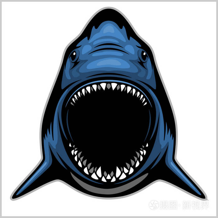 白色-运动队的象征上孤立的鲨鱼头