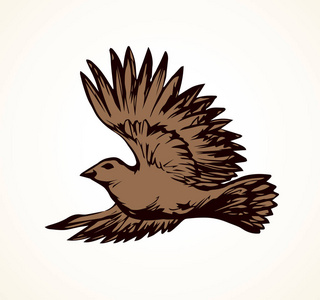 手绘轮廓黑色墨水手画伯劳小鸟徽标标志图片粗略在艺术复古涂鸦风格笔