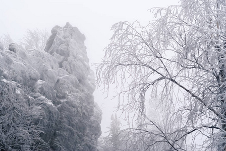 在降雪期间, 冬天森林上美丽的白雪覆盖的岩石