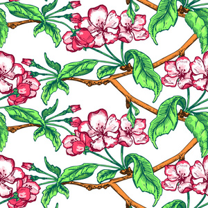 Appleflower 素描对于 Pattern110