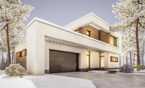 豪华的房子在冬天图片