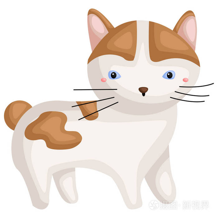 日本短尾猫的向量