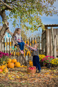秋天在农场里收集苹果。孩子们在篮子里收集水果。孩子们的户外乐趣。苹果南瓜的秋收