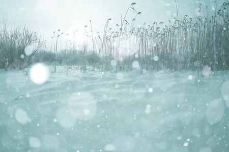 雪在冬天风景