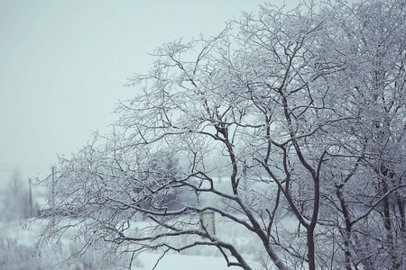 白雪皑皑的冬季风景图片