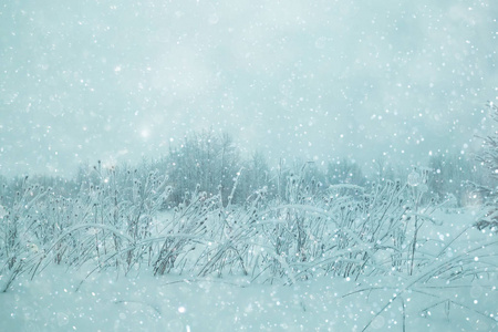 白雪皑皑的冬季风景