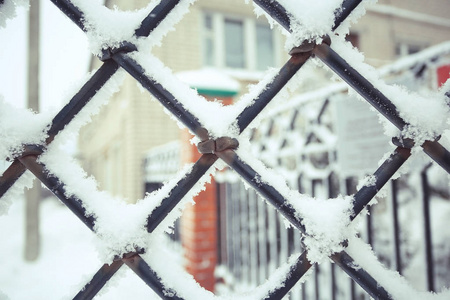 雪中钢篦