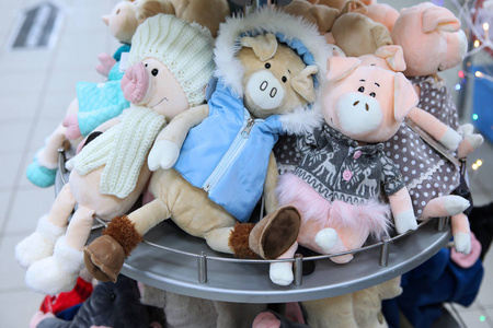 可爱的毛绒猪在帽子和衣服, 年的象征2019年在商店的销售