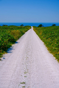 北海道白路上