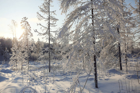 自然冬季景观