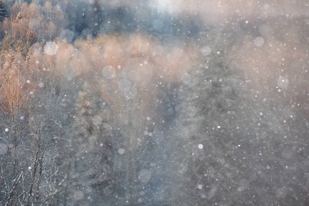 冬天背景与雪花