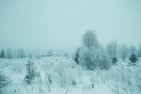 雪在冬天风景