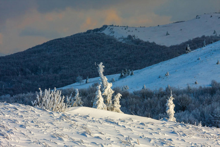 美丽的冬天景观的山区 Bieszczady，波兰