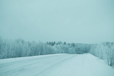 雪冬路足迹