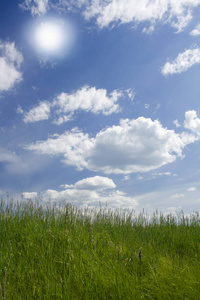 在阳光明媚的夏日草地上的绿草。草坪上方的太阳