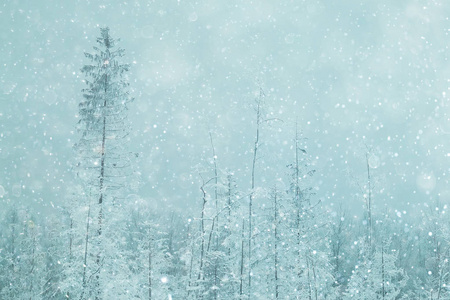 白雪皑皑的冬季风景