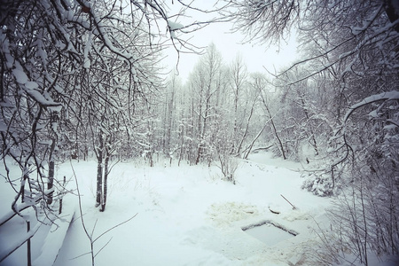 白雪皑皑的冬季风景图片