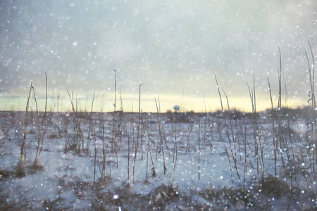 雪在冬天风景