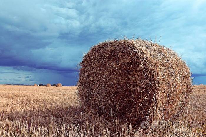 景观的干草堆中的字段