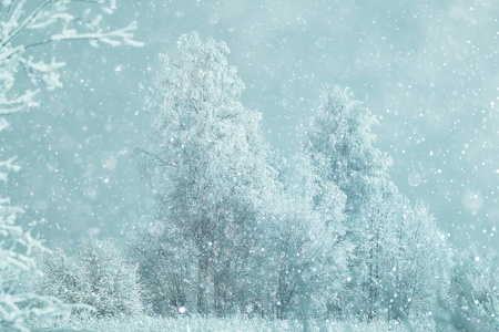 白雪皑皑的冬季风景