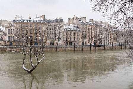 巴黎在雪和洪水下, 码头被淹, 水下树木, 塞纳河在冬天
