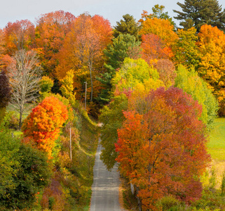 随着佛蒙特州秋天树叶的变化, 道路往往与鲜艳的颜色接壤