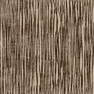 优雅的棕色条纹图片