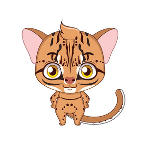 亚洲金猫可爱的程式化的卡通亚洲金猫图照片