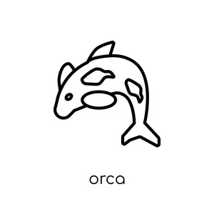 奥卡图标。时尚现代平面线性向量 orca 图标在白色背景从细线动物汇集, 可编辑的概述冲程向量例证