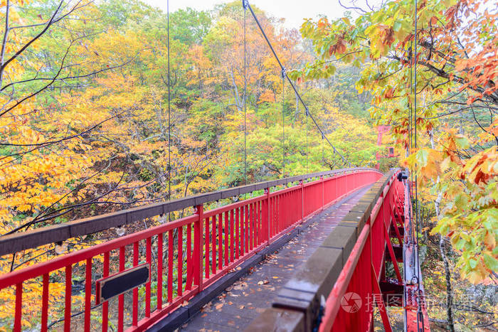 定山溪二见吊桥和秋枫林在定山溪温泉 最受欢迎的旅游景点 北海道 日本照片 正版商用图片0tpkv0 摄图新视界