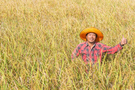 快乐的农夫看着相机站在稻田里收割