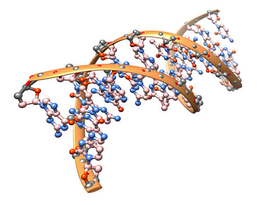 dna 分子的3d 例证有机化学 生物微粒的模型