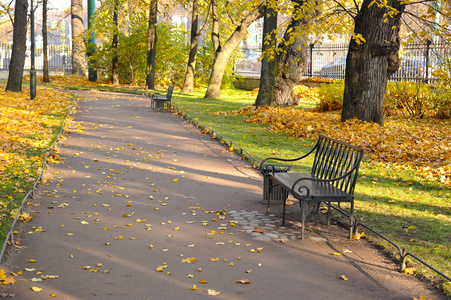 秋天公园与落叶和长凳