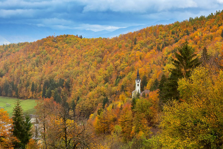 教堂在斯洛文尼亚农村, 秋天树