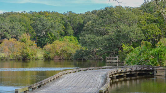 佛罗里达州拿骚县阿米莉亚种植园附近的木桥