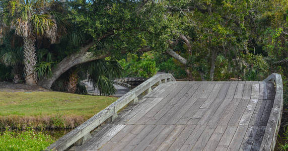 佛罗里达州拿骚县阿米莉亚种植园附近的木桥