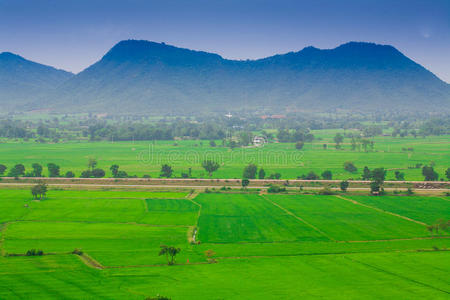 绿色稻田蓝天，亚洲自然景观