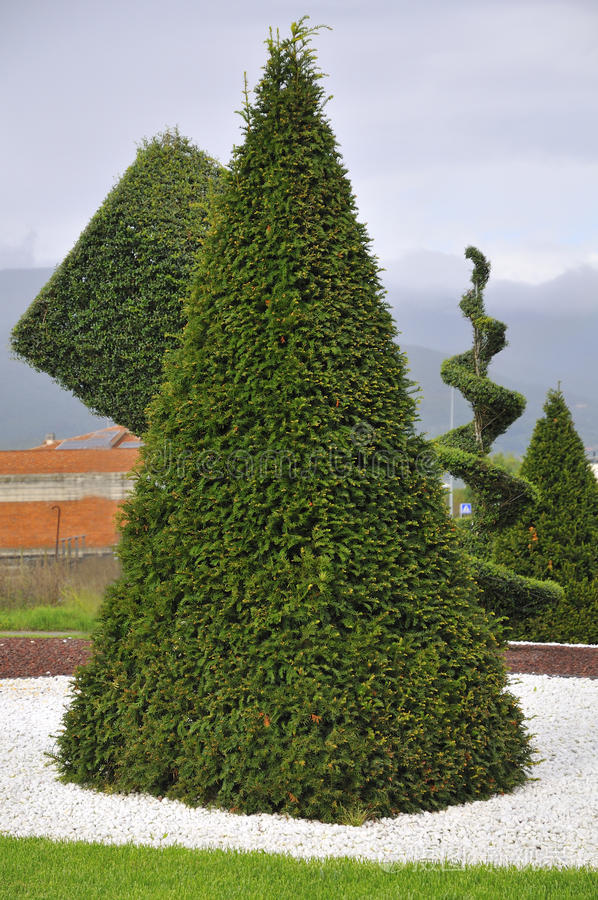 修剪艺术观赏植物照片-正版商用图片0tqp3b-摄图新视界