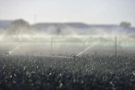 农作物洒水器图片
