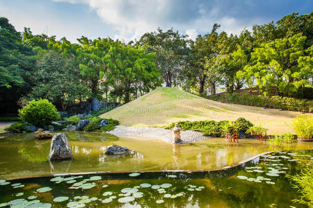 水塘景观图片